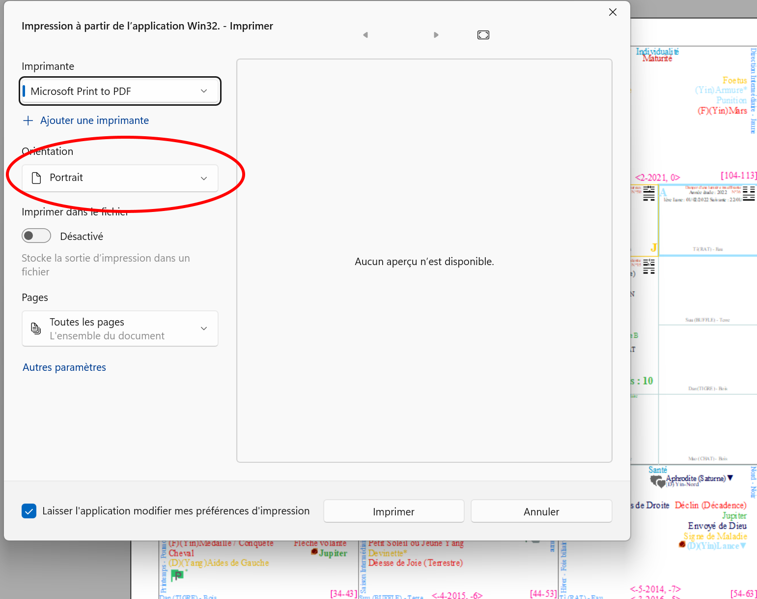 Printdata setorientation doesn t work on win11 issue 2306